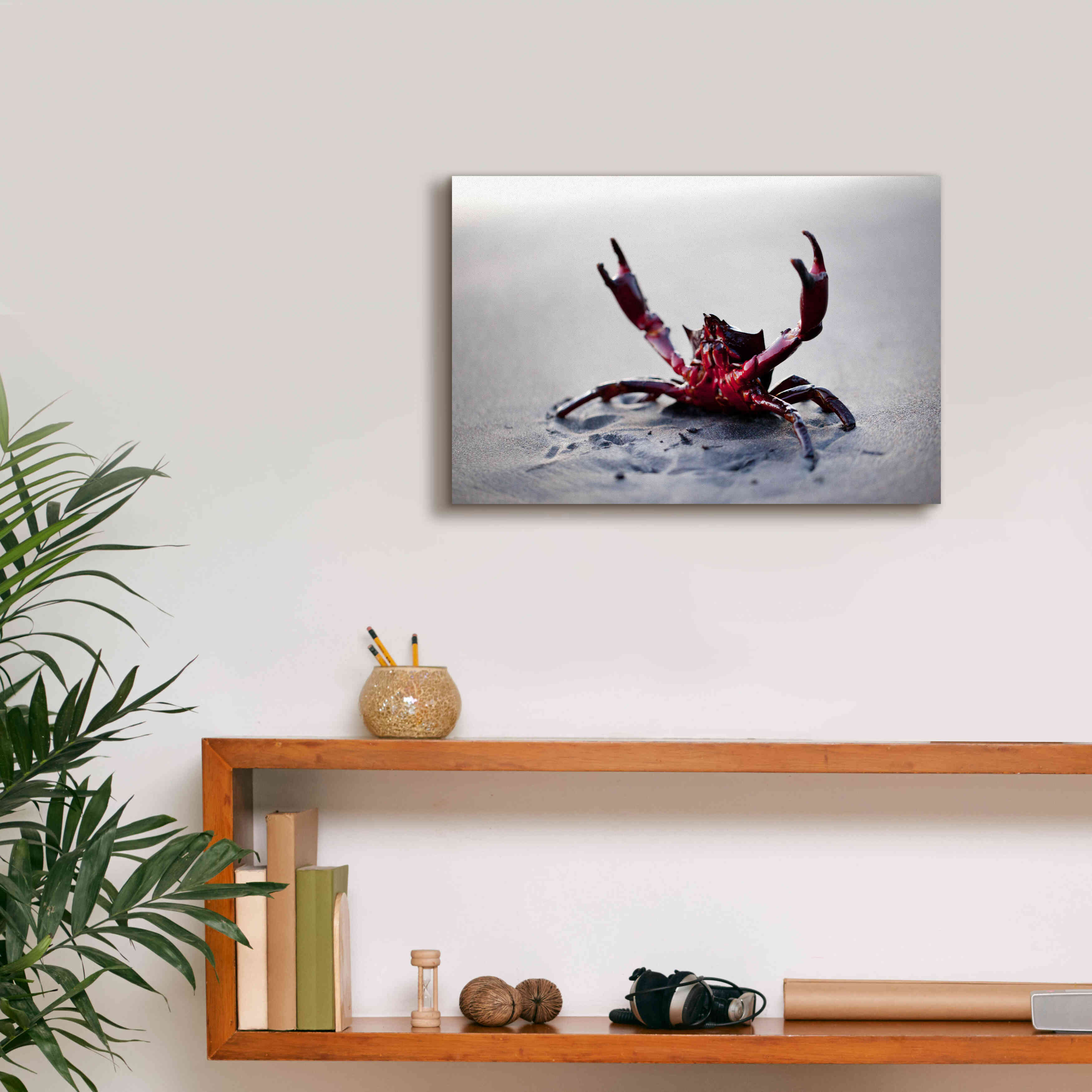 'Claws Up' by Thomas Haney, Giclee Canvas Wall Art,18 x 12