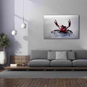 'Claws Up' by Thomas Haney, Giclee Canvas Wall Art,60 x 40