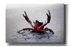 'Claws Up' by Thomas Haney, Giclee Canvas Wall Art