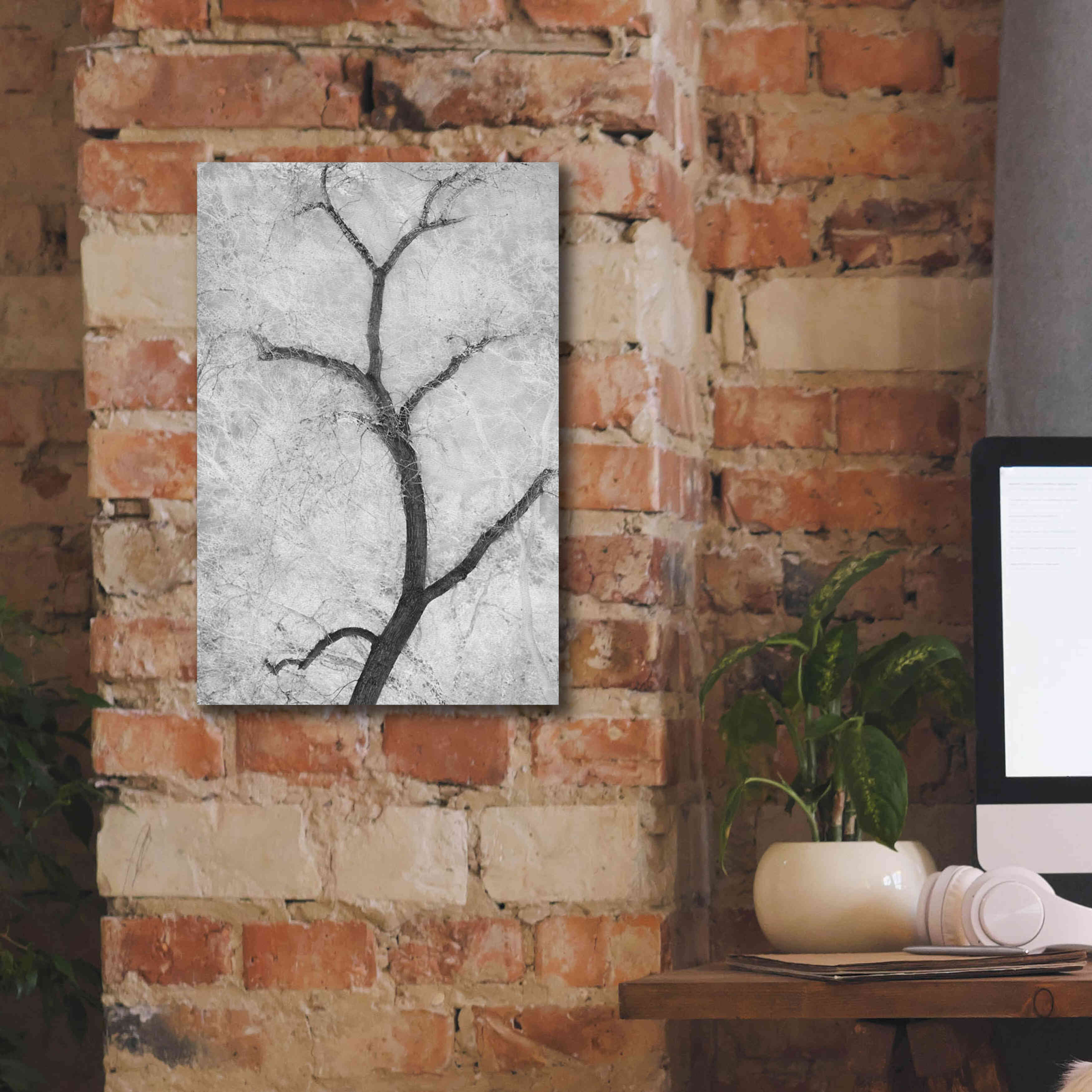 'Cottonwood Form B&W' by Thomas Haney, Giclee Canvas Wall Art,12 x 18