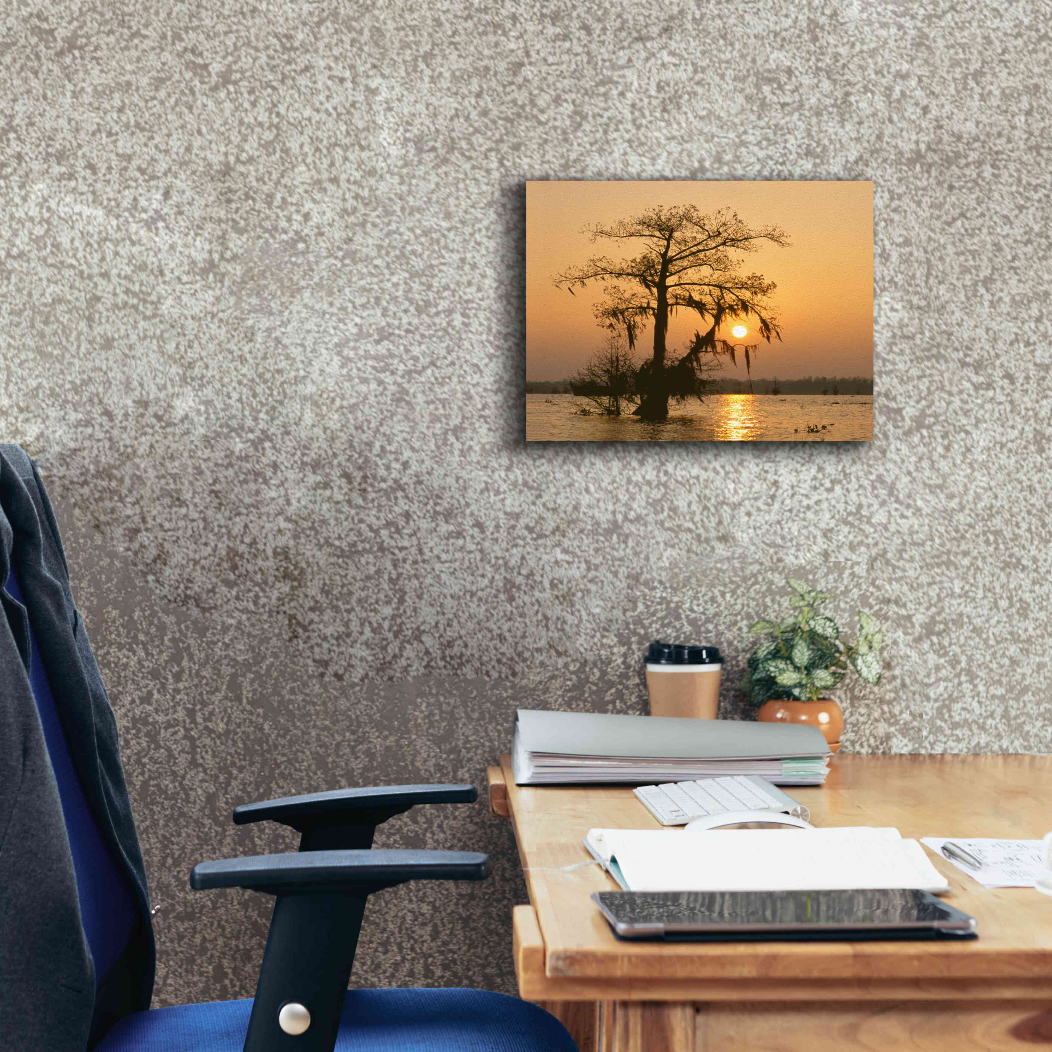 'Cypress Proc' by Thomas Haney, Giclee Canvas Wall Art,16 x 12