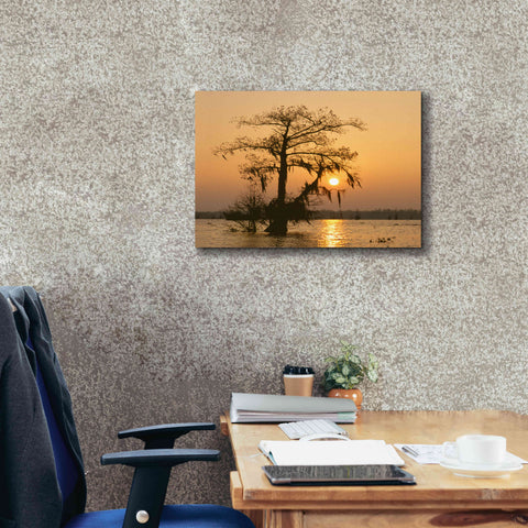 Image of 'Cypress Proc' by Thomas Haney, Giclee Canvas Wall Art,24 x 20