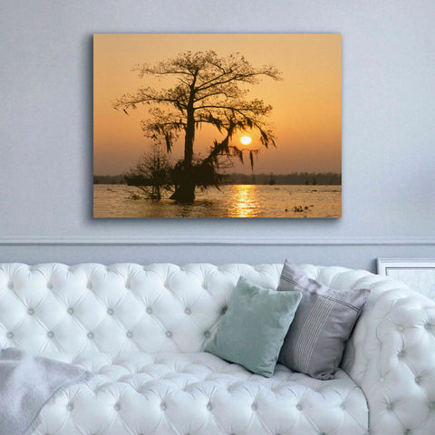 Image of 'Cypress Proc' by Thomas Haney, Giclee Canvas Wall Art,54 x 40