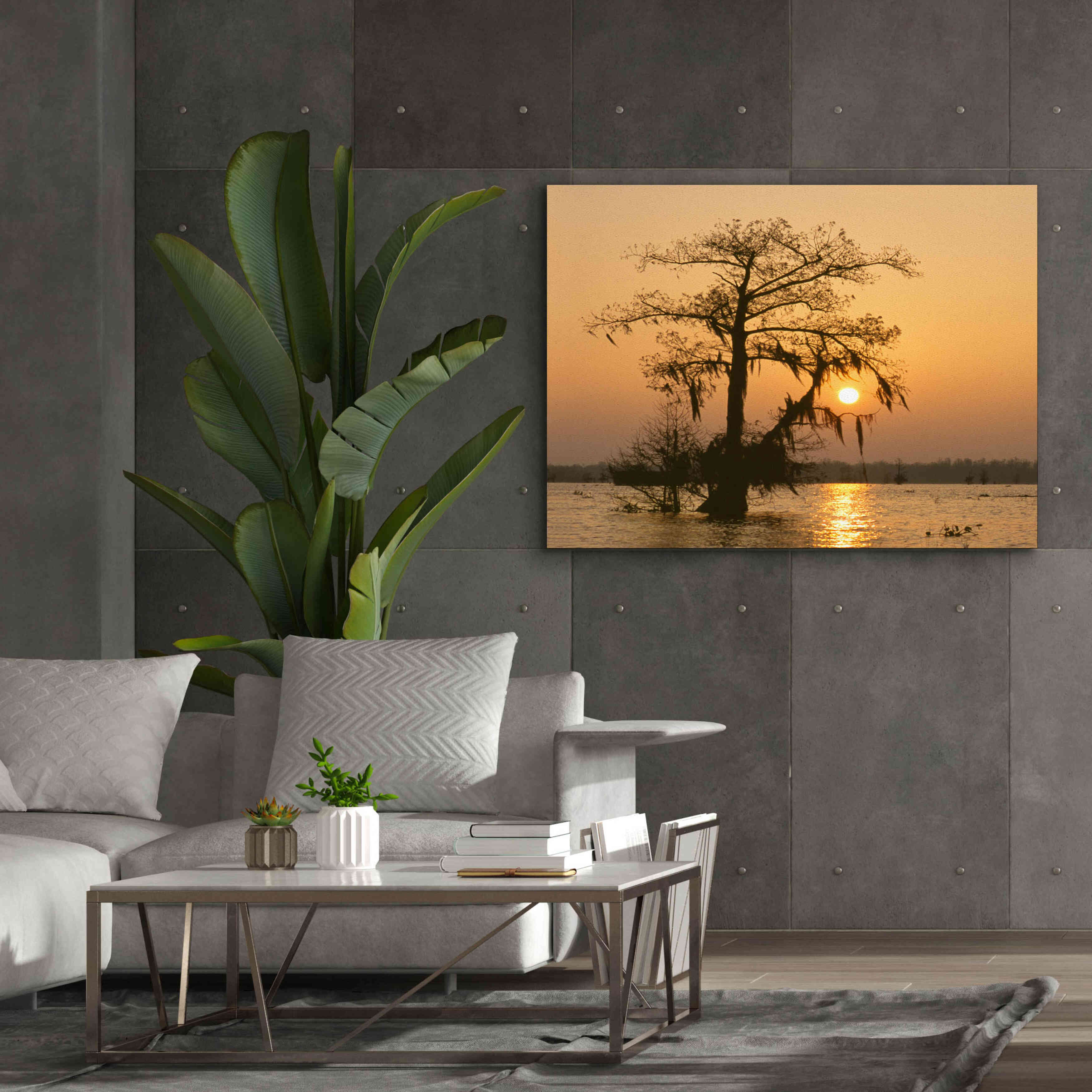 'Cypress Proc' by Thomas Haney, Giclee Canvas Wall Art,54 x 40