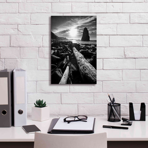 Image of 'Driftwood Sun 1 Silver' by Thomas Haney, Giclee Canvas Wall Art,12 x 18