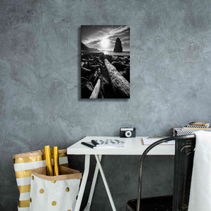 'Driftwood Sun 1 Silver' by Thomas Haney, Giclee Canvas Wall Art,12 x 18