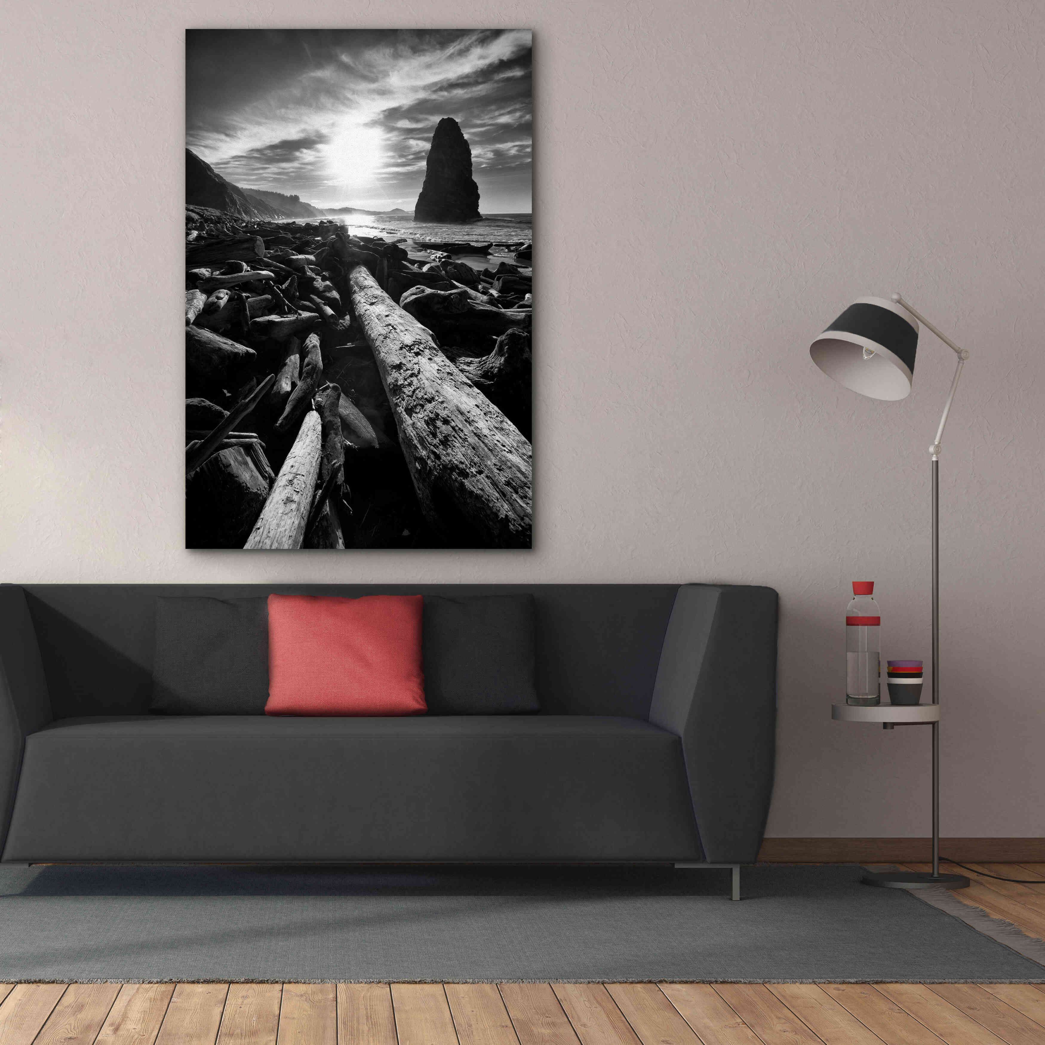 'Driftwood Sun 1 Silver' by Thomas Haney, Giclee Canvas Wall Art,40 x 60