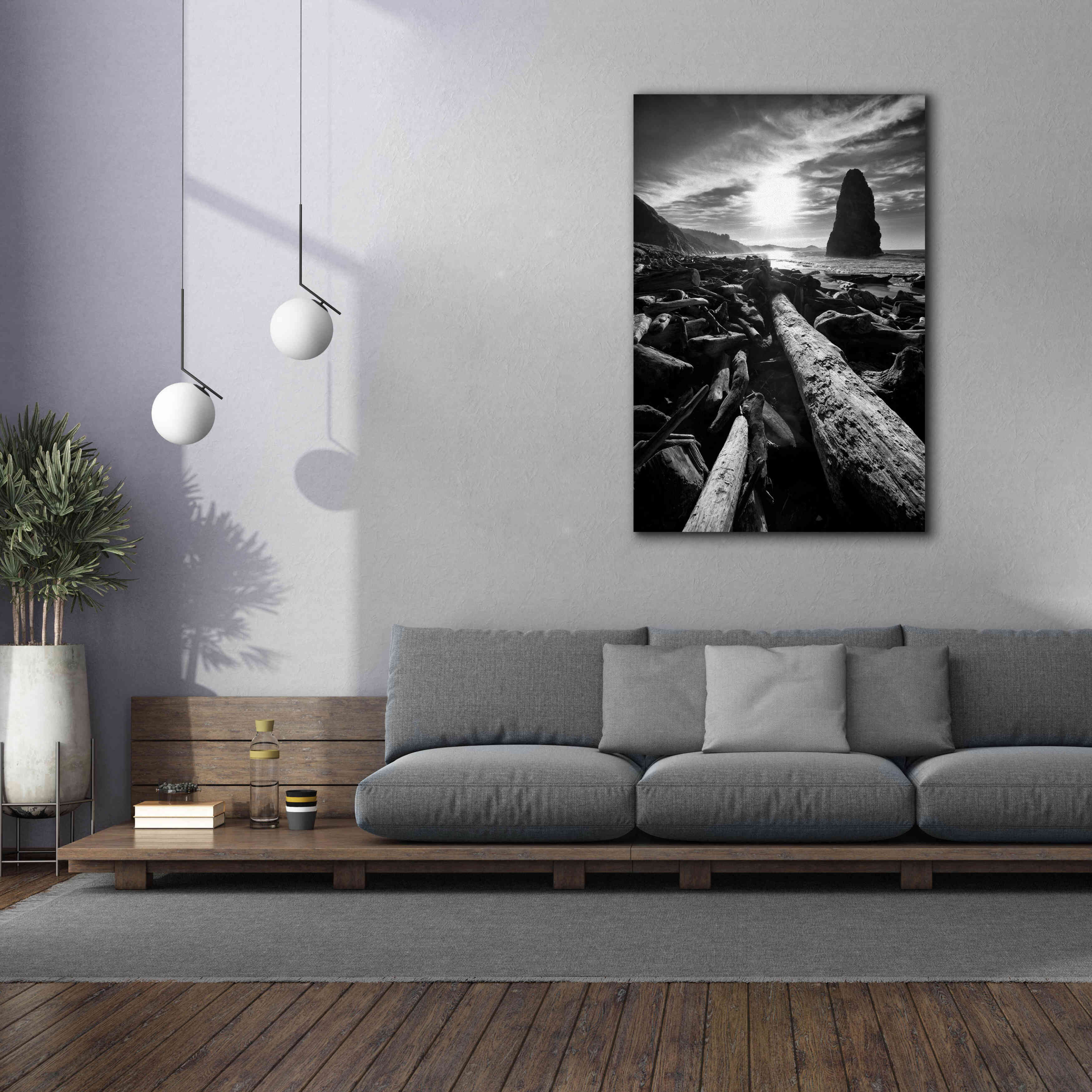 'Driftwood Sun 1 Silver' by Thomas Haney, Giclee Canvas Wall Art,40 x 60