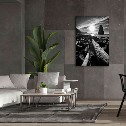 Image of 'Driftwood Sun 1 Silver' by Thomas Haney, Giclee Canvas Wall Art,40 x 60