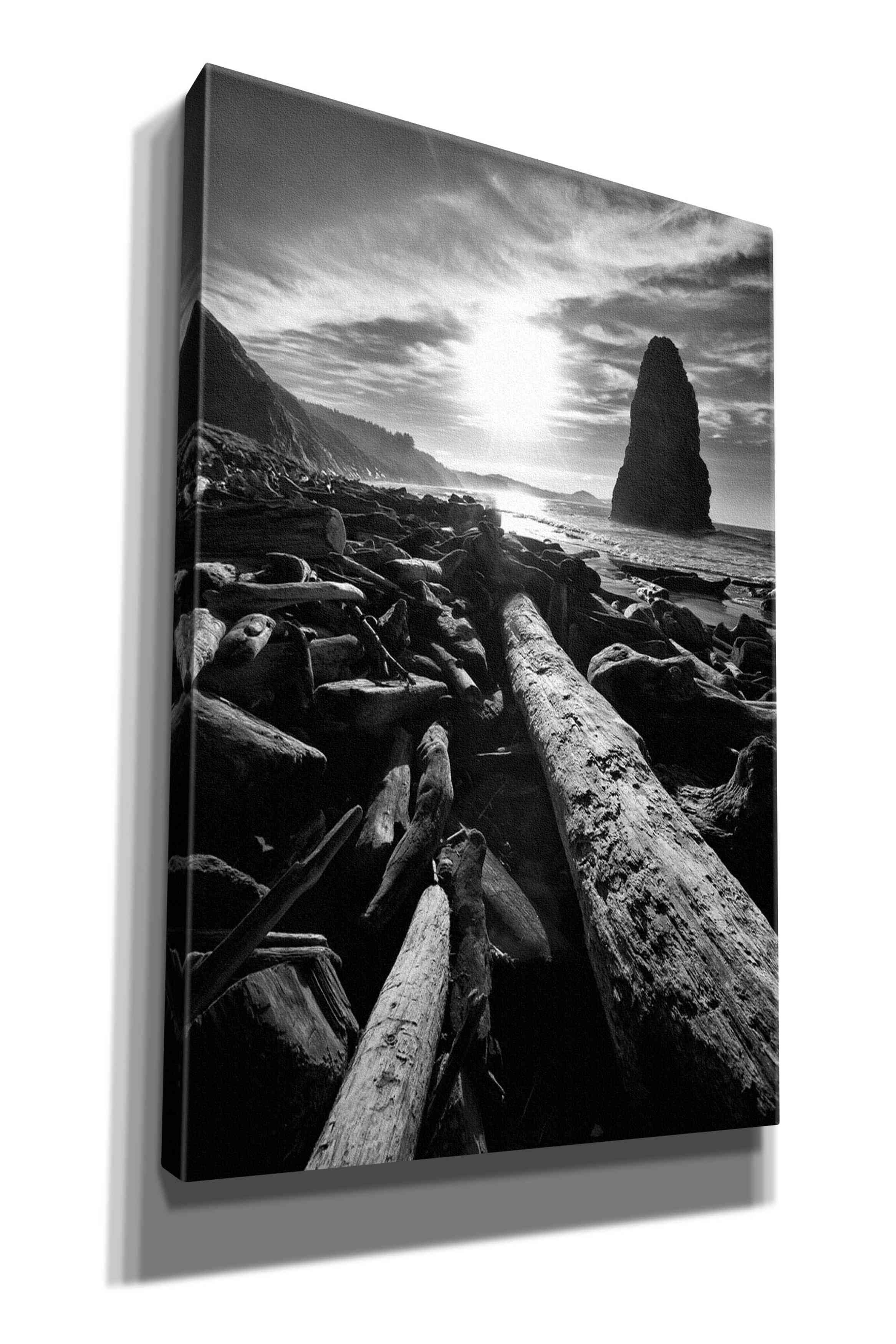 'Driftwood Sun 1 Silver' by Thomas Haney, Giclee Canvas Wall Art