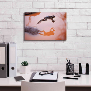 'Frog Jump 3' by Thomas Haney, Giclee Canvas Wall Art,18 x 12
