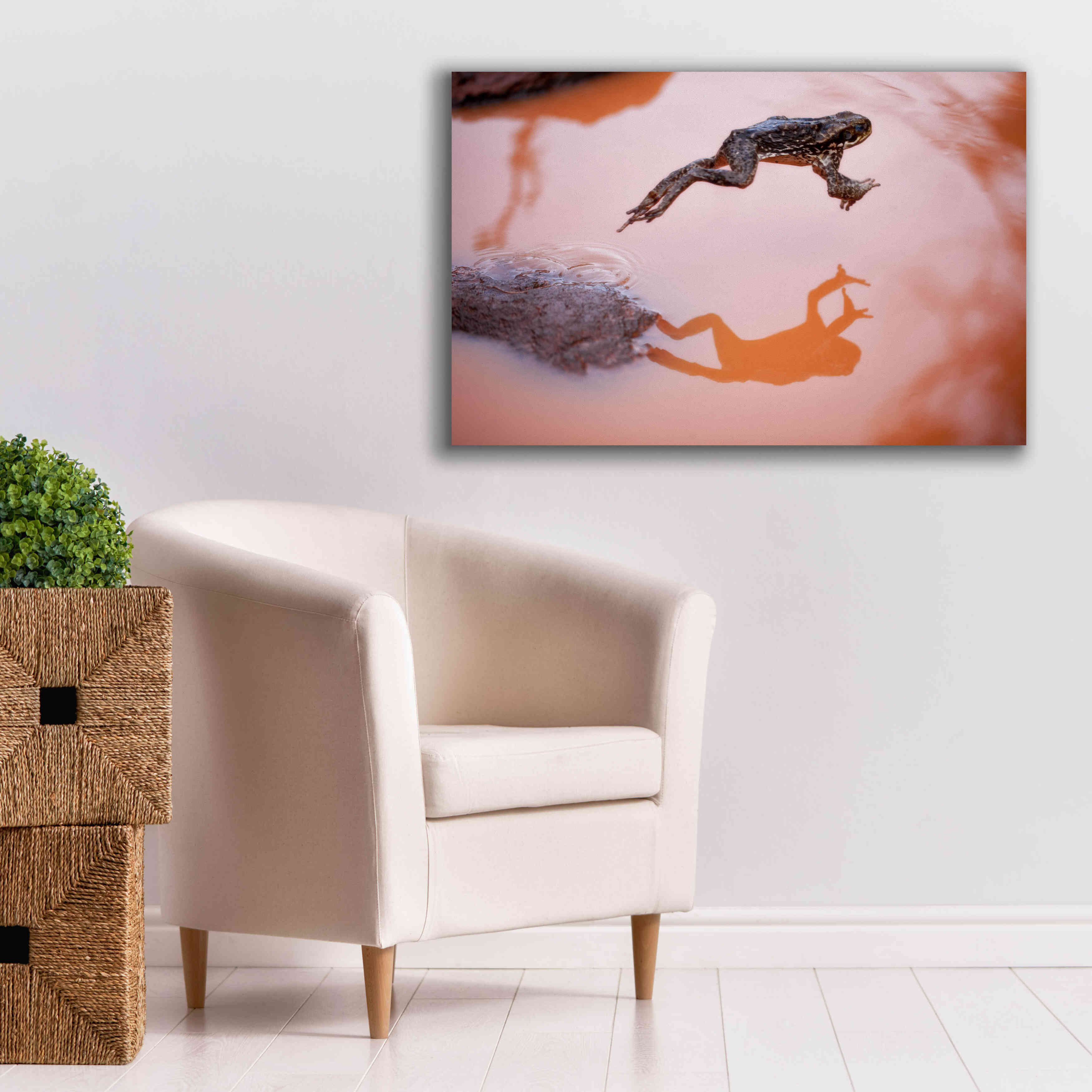 'Frog Jump 3' by Thomas Haney, Giclee Canvas Wall Art,40 x 26