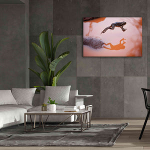 'Frog Jump 3' by Thomas Haney, Giclee Canvas Wall Art,60 x 40
