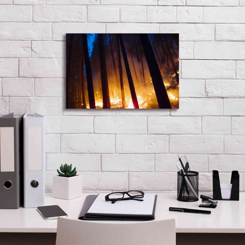 Image of 'Burning Forest' by Thomas Haney, Giclee Canvas Wall Art,18 x 12
