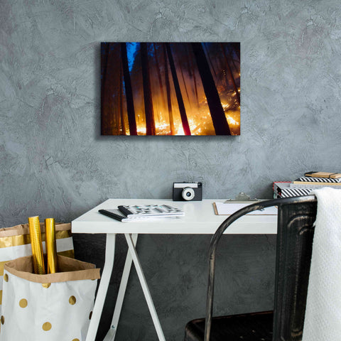 Image of 'Burning Forest' by Thomas Haney, Giclee Canvas Wall Art,18 x 12