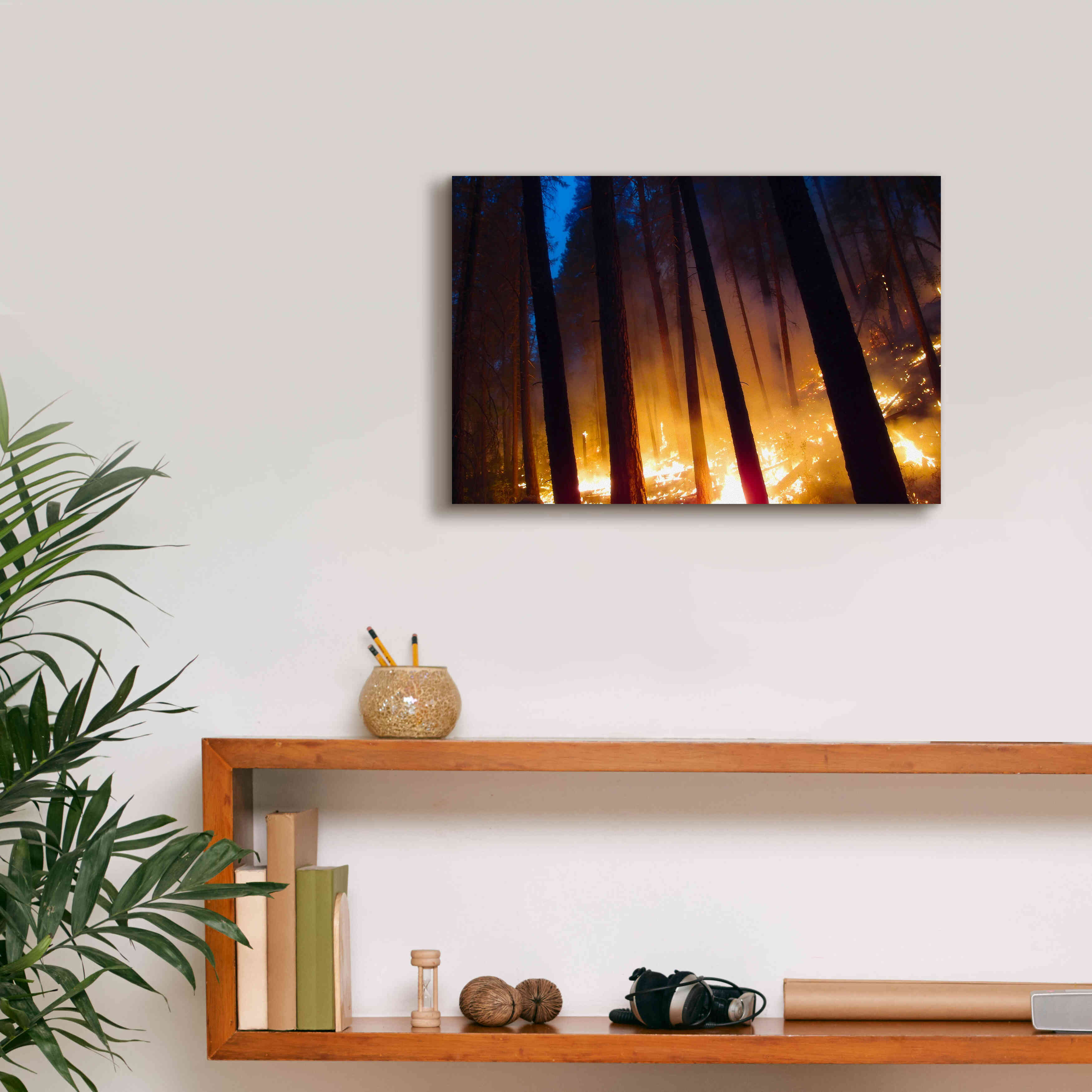 'Burning Forest' by Thomas Haney, Giclee Canvas Wall Art,18 x 12