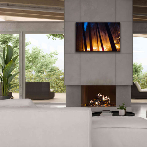 Image of 'Burning Forest' by Thomas Haney, Giclee Canvas Wall Art,40 x 26