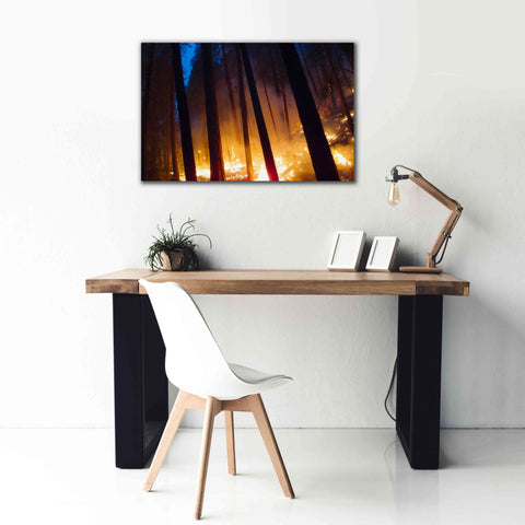 Image of 'Burning Forest' by Thomas Haney, Giclee Canvas Wall Art,40 x 26