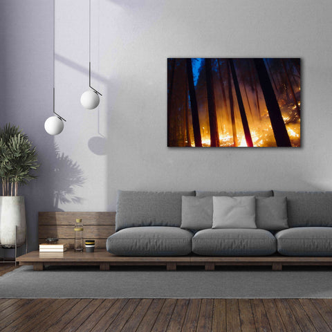 Image of 'Burning Forest' by Thomas Haney, Giclee Canvas Wall Art,60 x 40