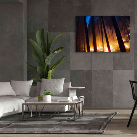 Image of 'Burning Forest' by Thomas Haney, Giclee Canvas Wall Art,60 x 40