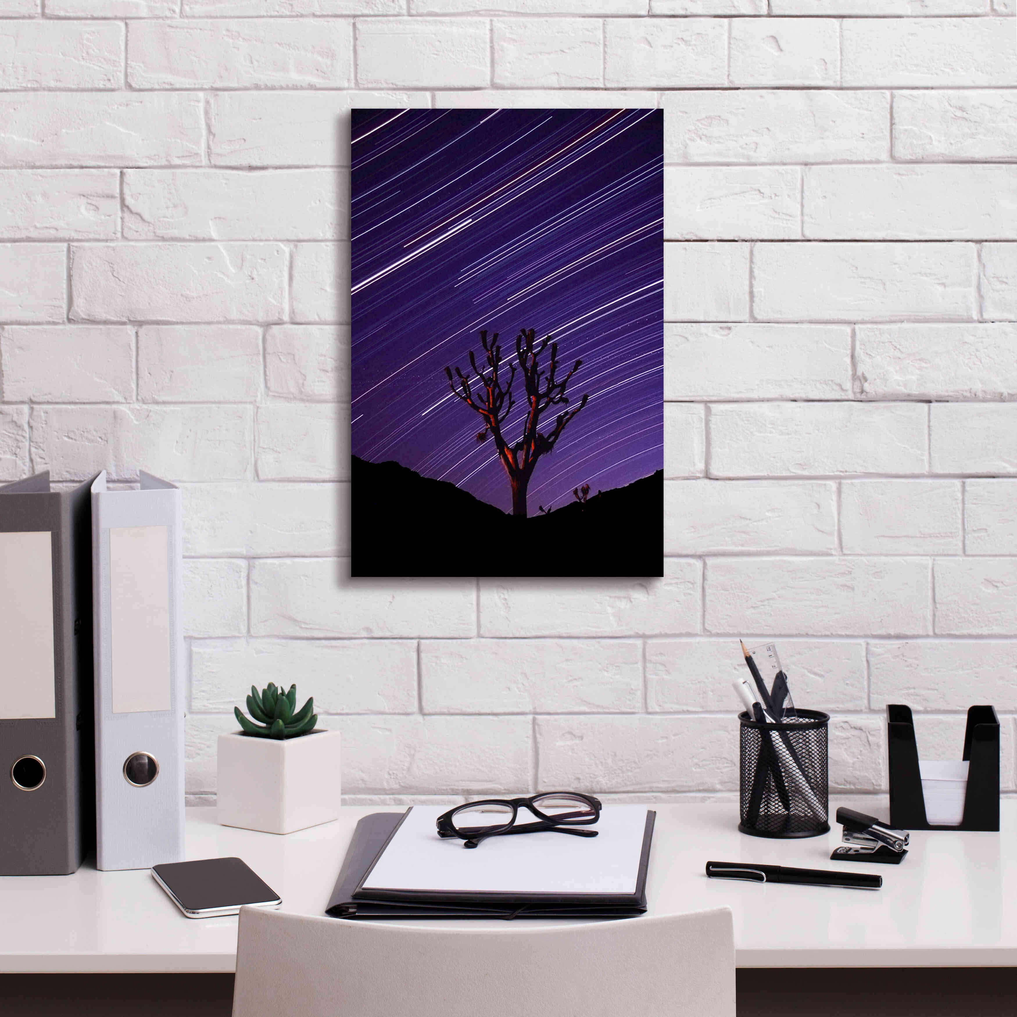 'Joshua Tree Brilliant Stars 2' by Thomas Haney, Giclee Canvas Wall Art,12 x 18