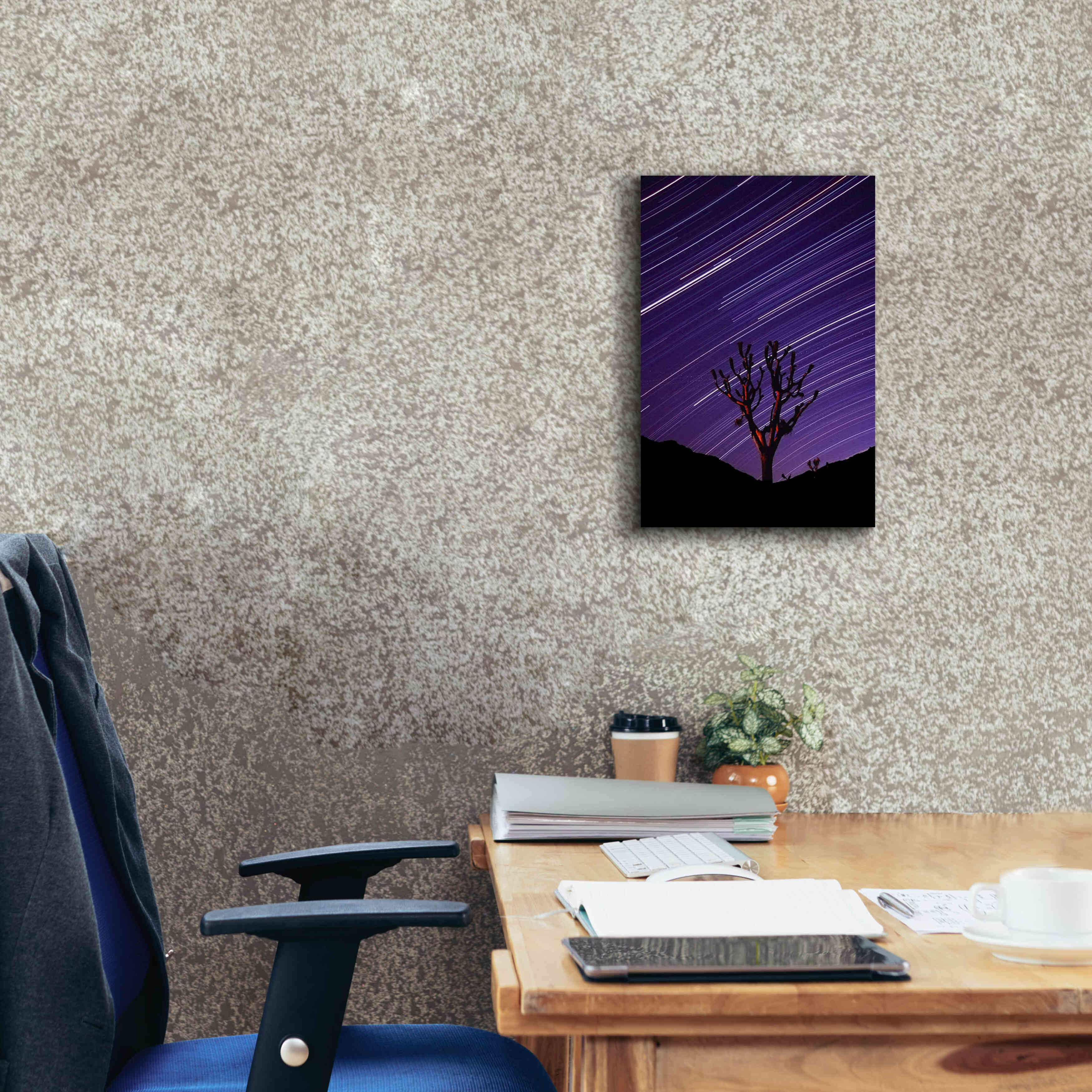 'Joshua Tree Brilliant Stars 2' by Thomas Haney, Giclee Canvas Wall Art,12 x 18