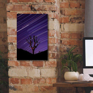 'Joshua Tree Brilliant Stars 2' by Thomas Haney, Giclee Canvas Wall Art,12 x 18
