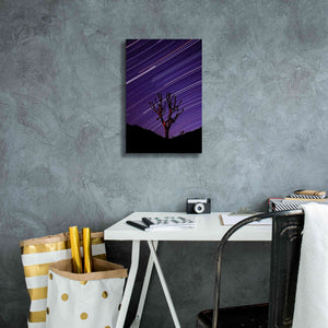 'Joshua Tree Brilliant Stars 2' by Thomas Haney, Giclee Canvas Wall Art,12 x 18
