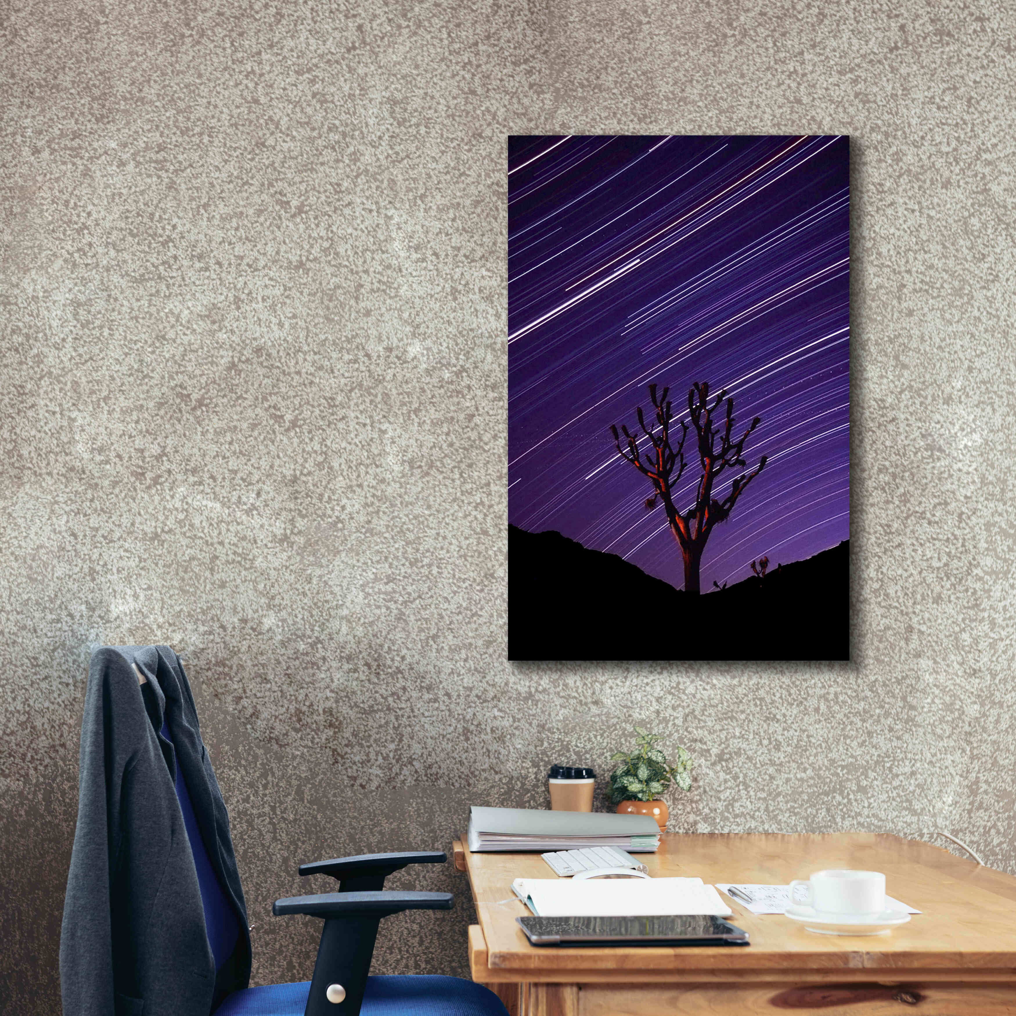 'Joshua Tree Brilliant Stars 2' by Thomas Haney, Giclee Canvas Wall Art,26 x 40