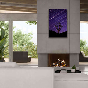 'Joshua Tree Brilliant Stars 2' by Thomas Haney, Giclee Canvas Wall Art,26 x 40