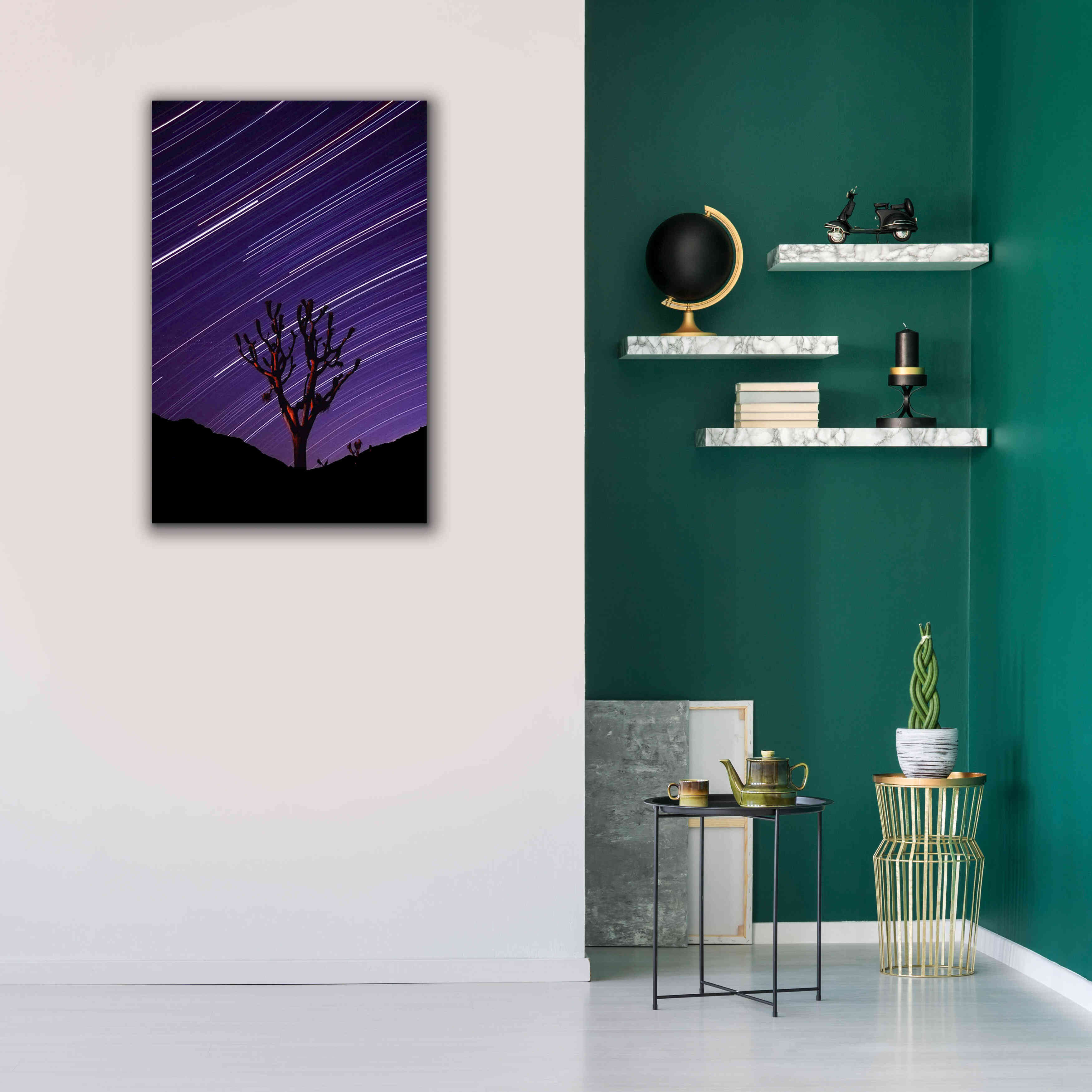 'Joshua Tree Brilliant Stars 2' by Thomas Haney, Giclee Canvas Wall Art,26 x 40