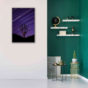 'Joshua Tree Brilliant Stars 2' by Thomas Haney, Giclee Canvas Wall Art,26 x 40
