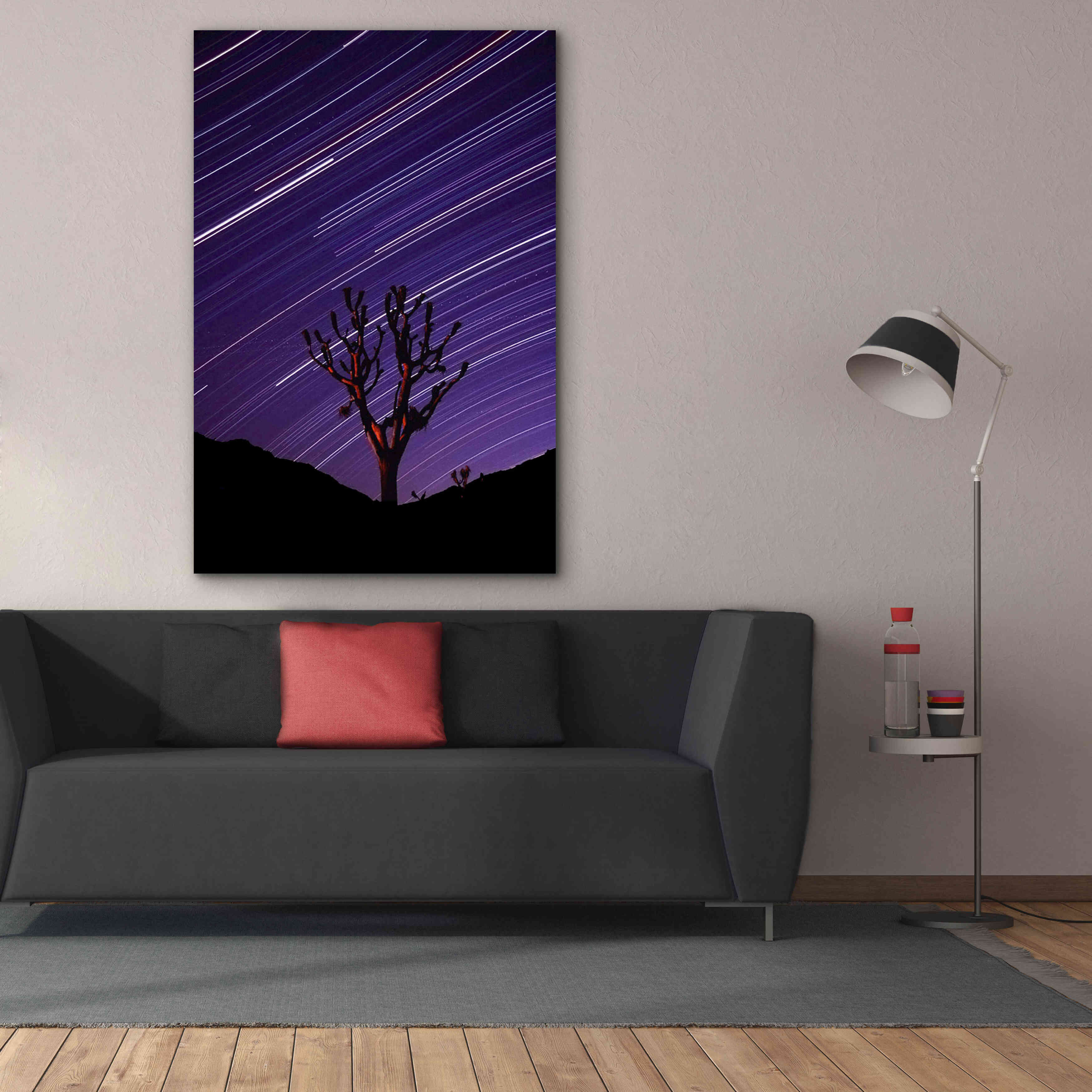'Joshua Tree Brilliant Stars 2' by Thomas Haney, Giclee Canvas Wall Art,40 x 60