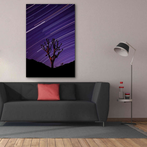 Image of 'Joshua Tree Brilliant Stars 2' by Thomas Haney, Giclee Canvas Wall Art,40 x 60