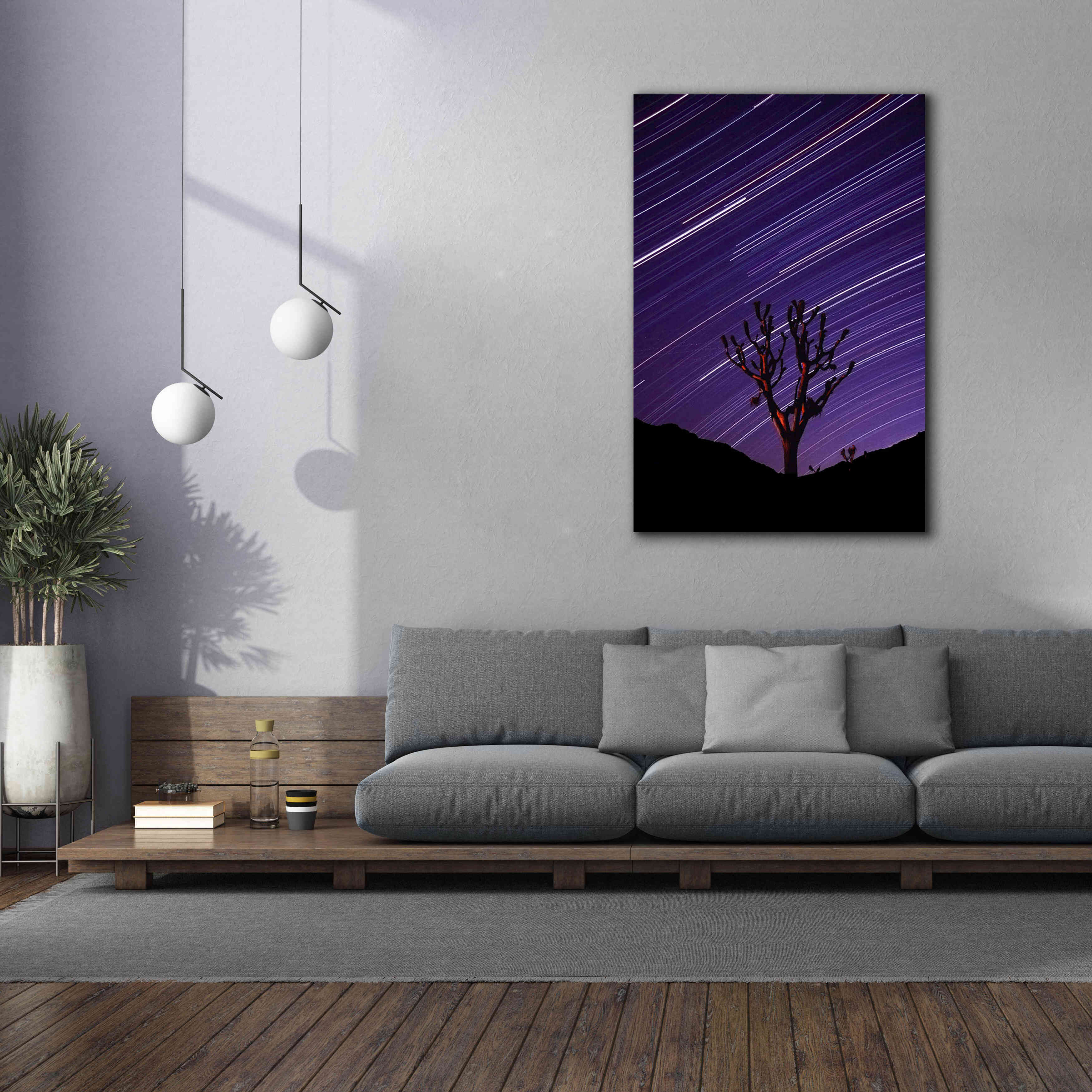 'Joshua Tree Brilliant Stars 2' by Thomas Haney, Giclee Canvas Wall Art,40 x 60