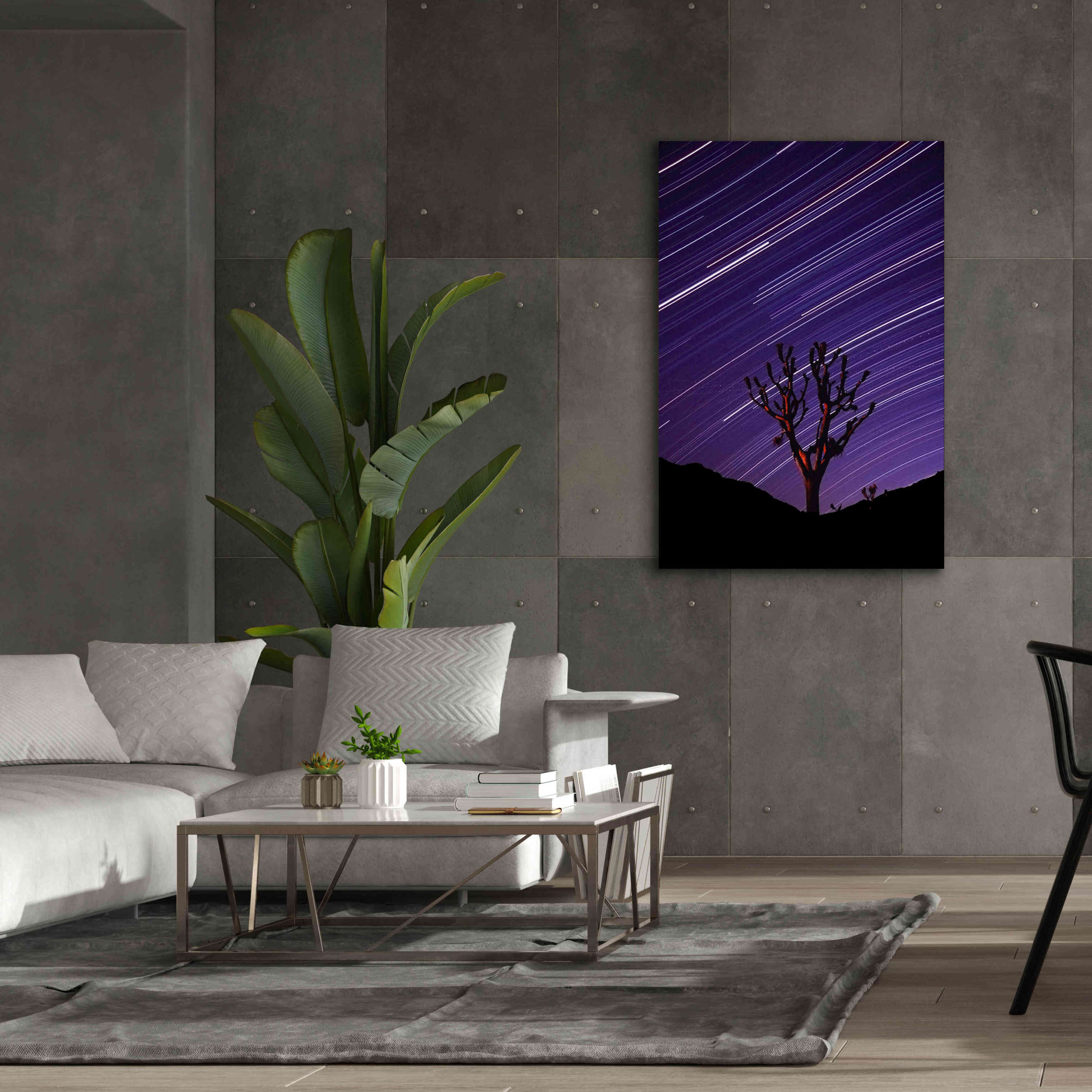 'Joshua Tree Brilliant Stars 2' by Thomas Haney, Giclee Canvas Wall Art,40 x 60