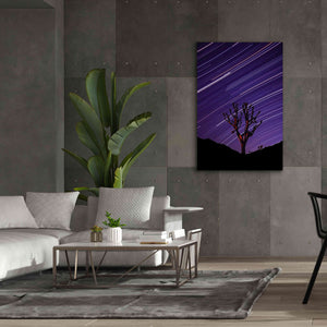 'Joshua Tree Brilliant Stars 2' by Thomas Haney, Giclee Canvas Wall Art,40 x 60
