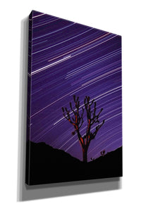 'Joshua Tree Brilliant Stars 2' by Thomas Haney, Giclee Canvas Wall Art