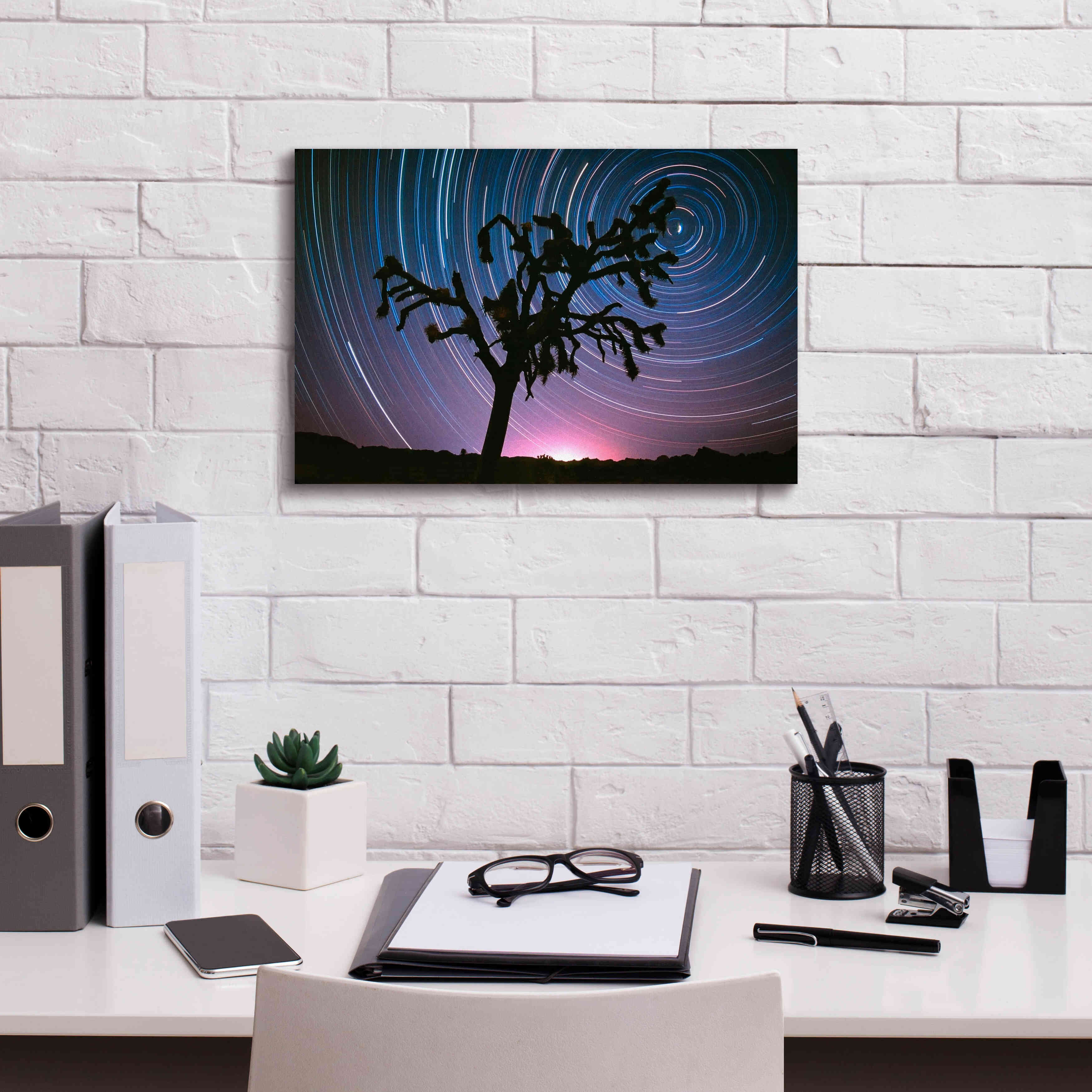 'Joshua Tree North Star Proc' by Thomas Haney, Giclee Canvas Wall Art,18 x 12