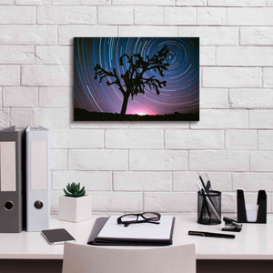'Joshua Tree North Star Proc' by Thomas Haney, Giclee Canvas Wall Art,18 x 12