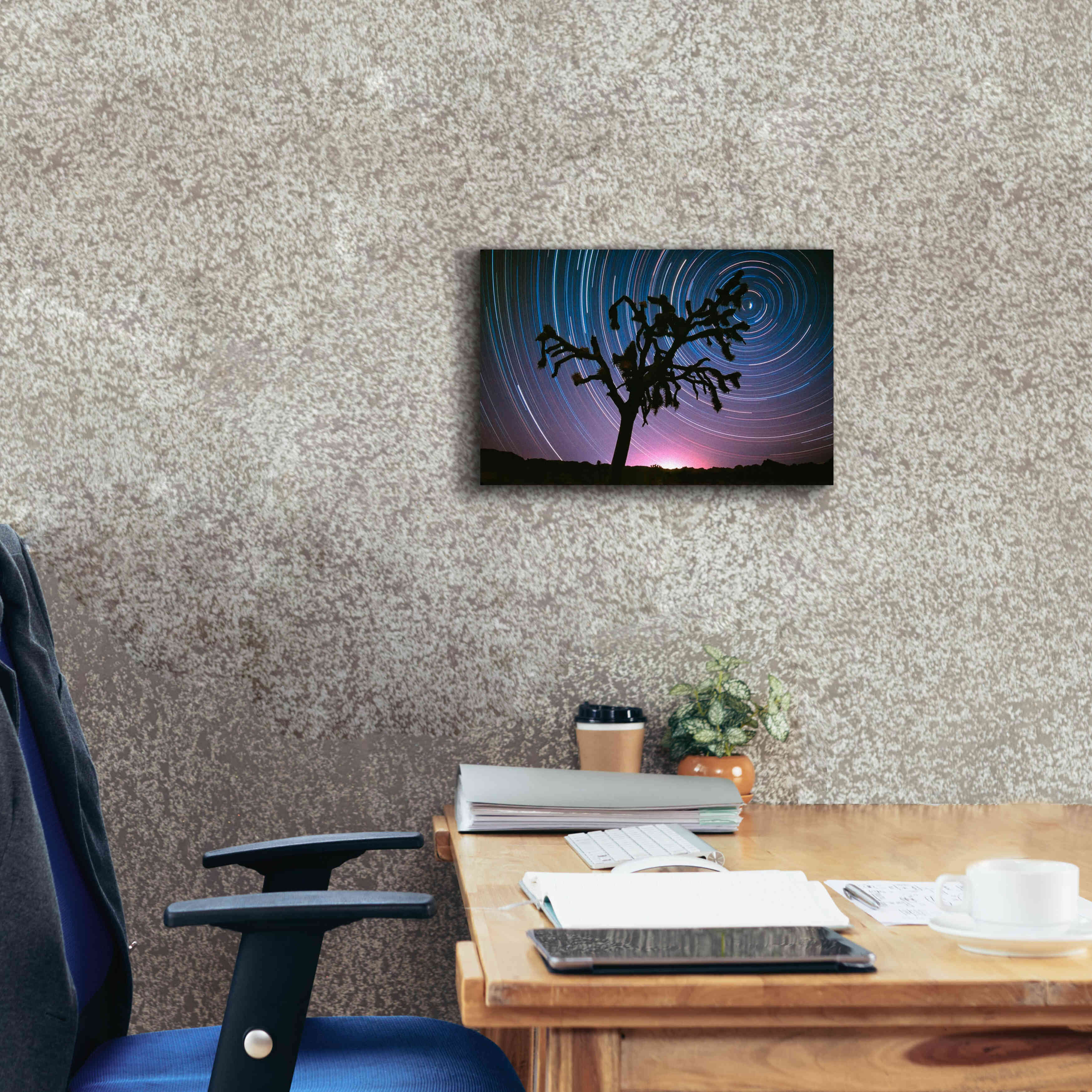 'Joshua Tree North Star Proc' by Thomas Haney, Giclee Canvas Wall Art,18 x 12