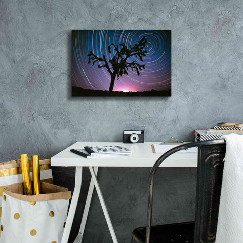 Image of 'Joshua Tree North Star Proc' by Thomas Haney, Giclee Canvas Wall Art,18 x 12