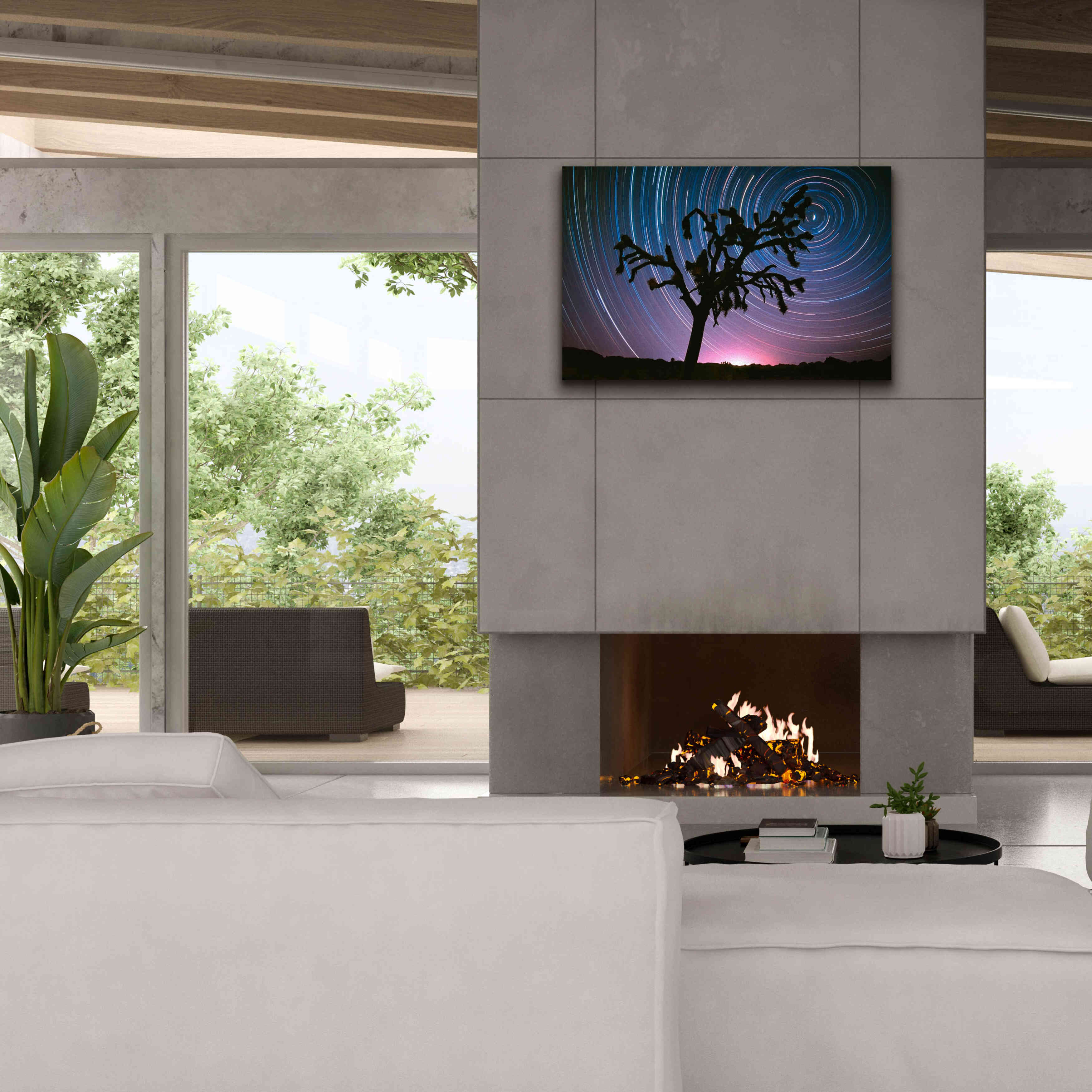 'Joshua Tree North Star Proc' by Thomas Haney, Giclee Canvas Wall Art,40 x 26