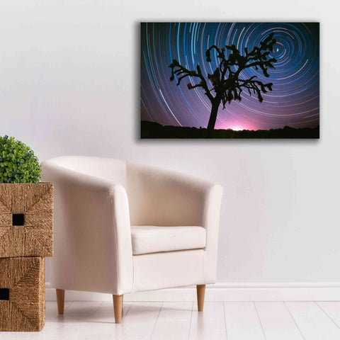 Image of 'Joshua Tree North Star Proc' by Thomas Haney, Giclee Canvas Wall Art,40 x 26