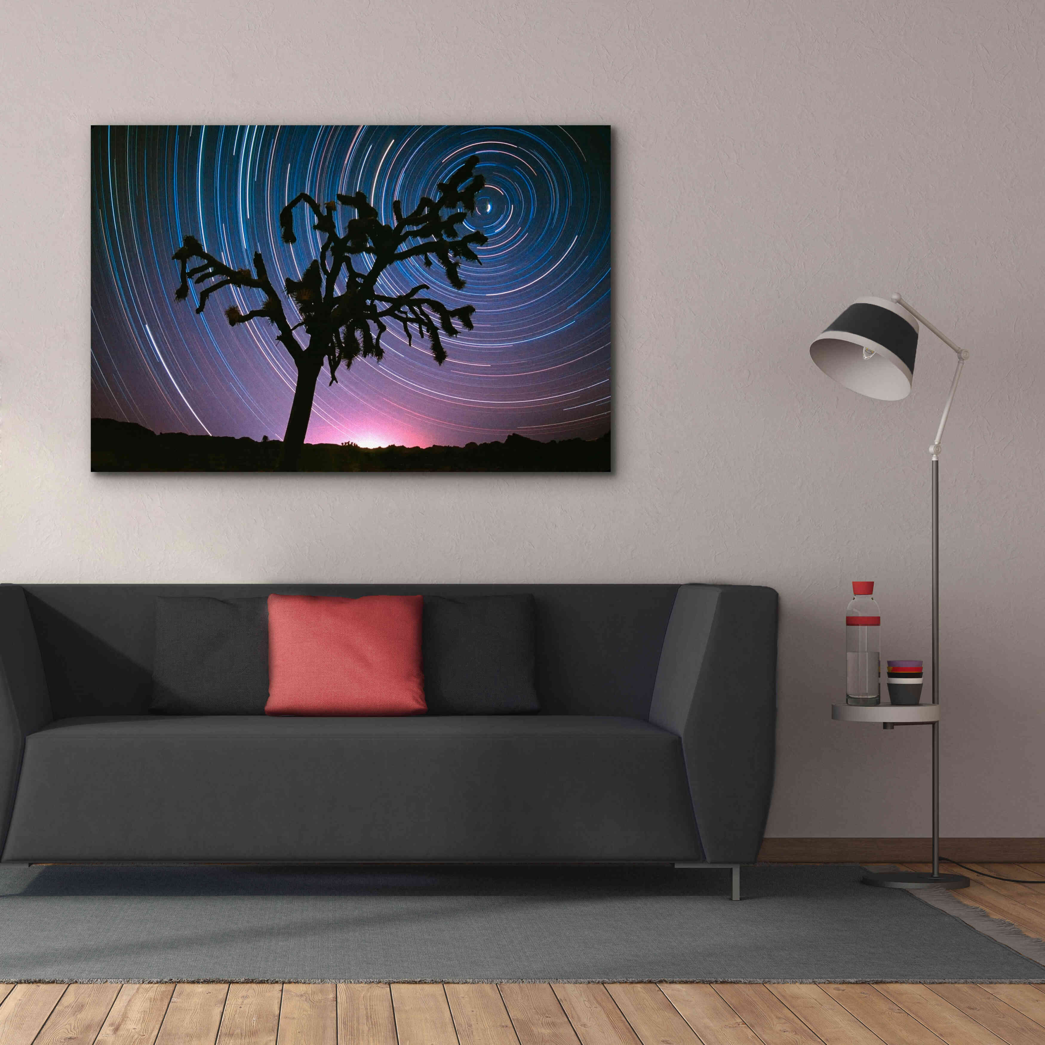 'Joshua Tree North Star Proc' by Thomas Haney, Giclee Canvas Wall Art,60 x 40