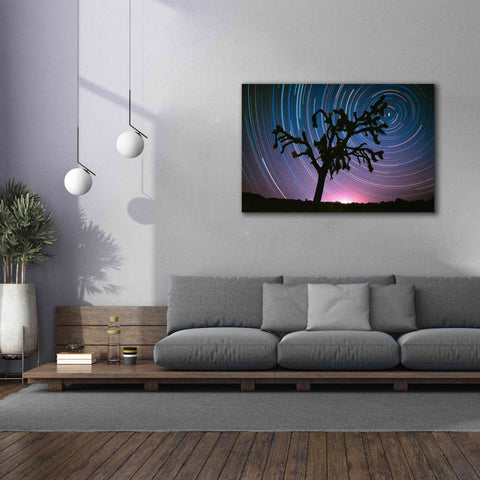 Image of 'Joshua Tree North Star Proc' by Thomas Haney, Giclee Canvas Wall Art,60 x 40