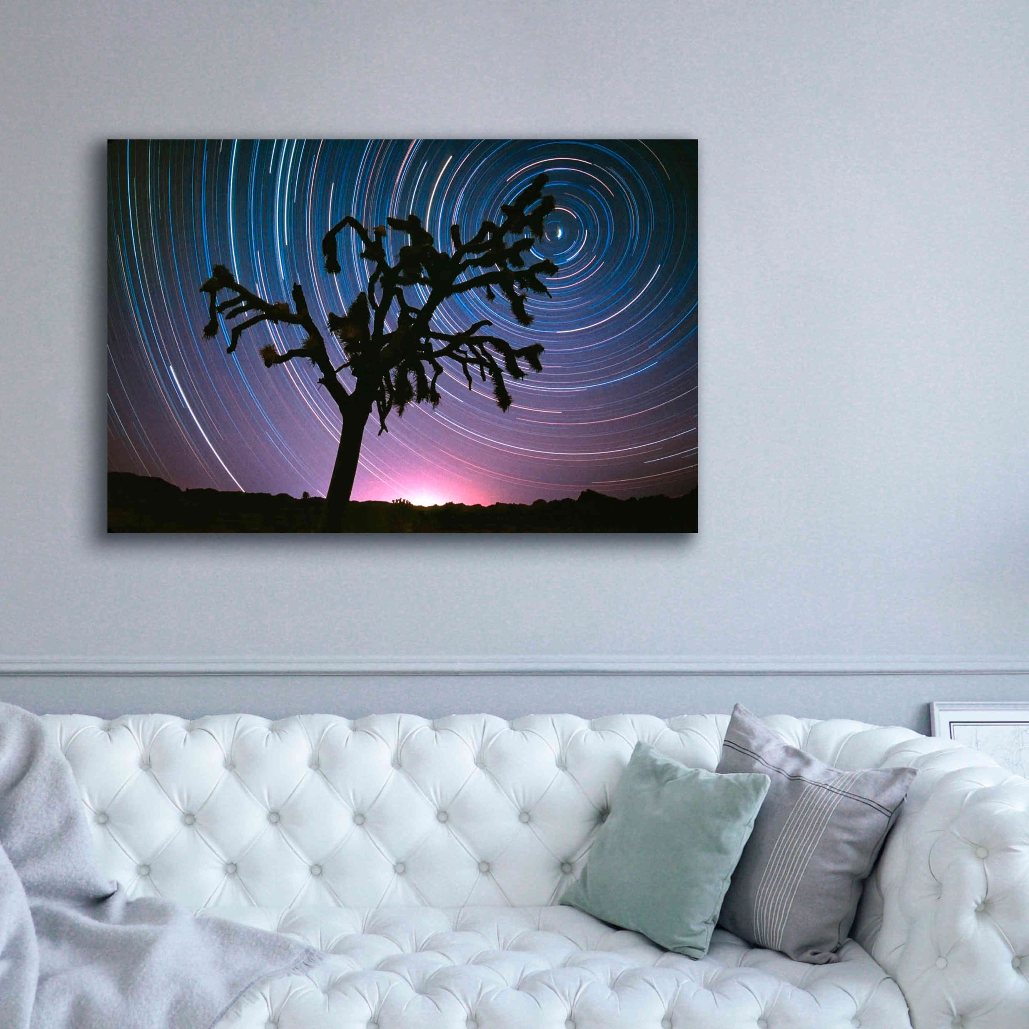'Joshua Tree North Star Proc' by Thomas Haney, Giclee Canvas Wall Art,60 x 40