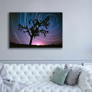 'Joshua Tree North Star Proc' by Thomas Haney, Giclee Canvas Wall Art,60 x 40