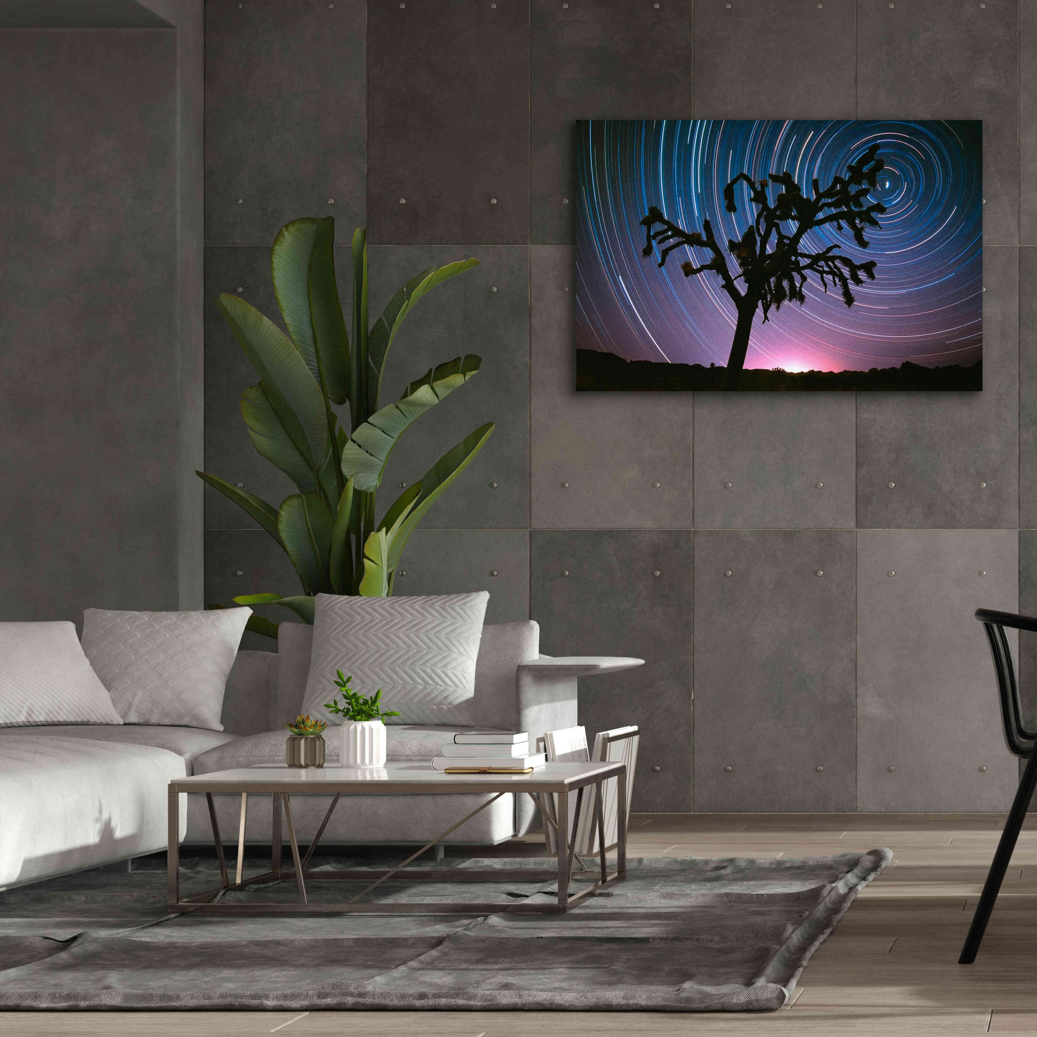 'Joshua Tree North Star Proc' by Thomas Haney, Giclee Canvas Wall Art,60 x 40