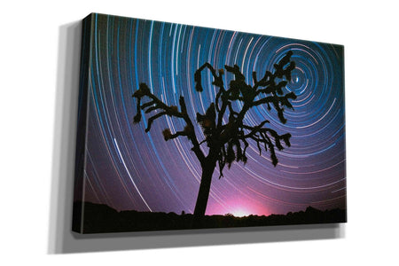 'Joshua Tree North Star Proc' by Thomas Haney, Giclee Canvas Wall Art